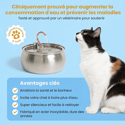 VitaPurr — Hydratez, protégez, aimez votre chat