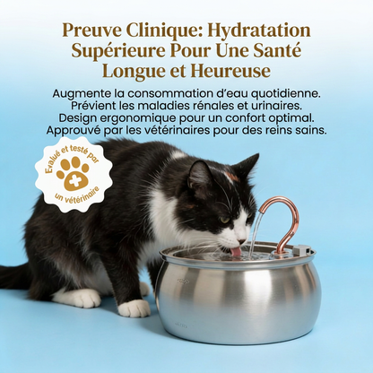 VitaPurr — Hydratez, protégez, aimez votre chat