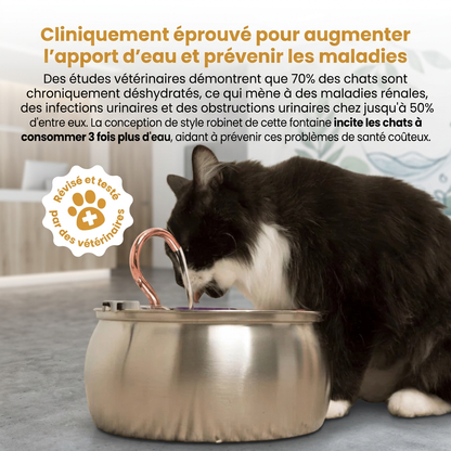 VitaPurr — Hydratez, protégez, aimez votre chat